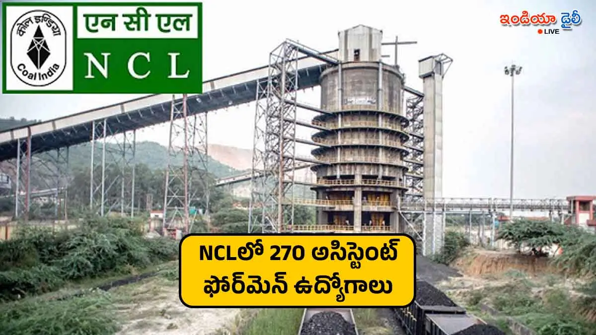 Northern Coalfields Limited (NCL) Assistant Foreman Trainee Recruitment 2026 notification.