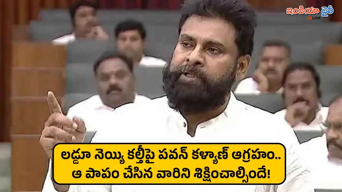 Deputy CM Pawan Kalyan speaking in Andhra Pradesh Assembly on Tirumala Laddu issue