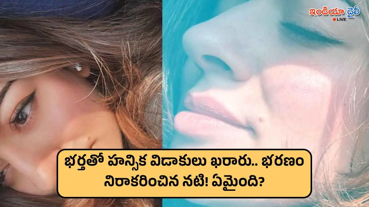 Hansika Motwani and Sohail Kathuria granted divorce by Bandra Family Court.