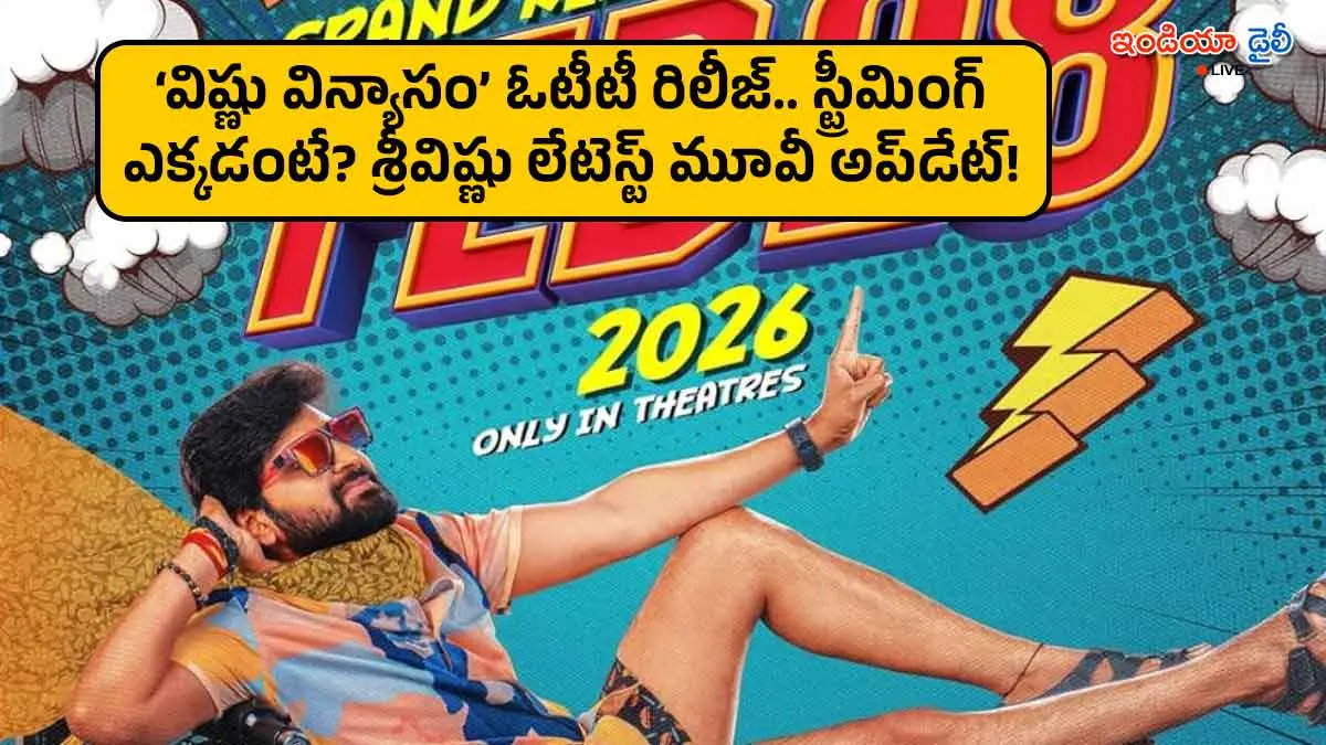 Sree Vishnu and Nayana Sarika in Vishnu Vinyasam movie poster.