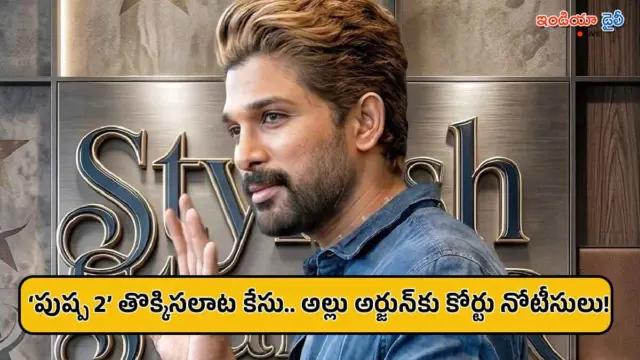 ‘పుష్ప 2’ తొక్కిసలాట కేసు.. అల్లు అర్జున్‌కు కోర్టు కీలక ఆదేశాలు..